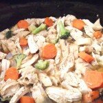 slow cooker oriental chicken
