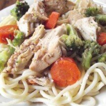 slow cooker oriental chicken