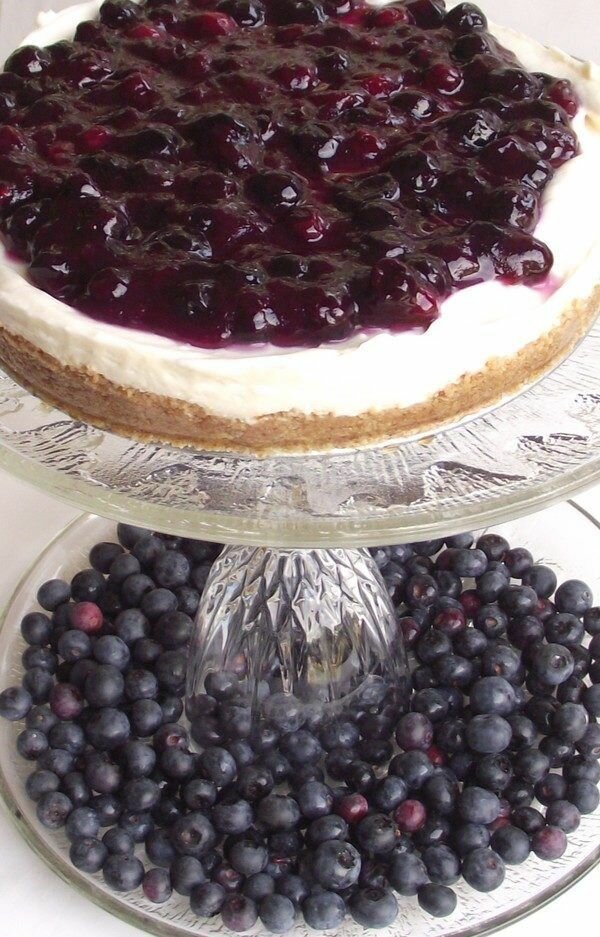 no-bake blueberry cheesecake